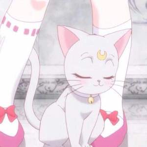 手机看片av免费永久不卡
