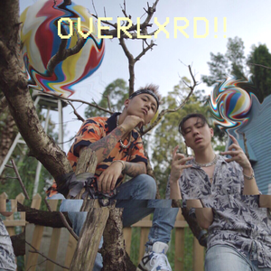 手机看片av免费永久不卡
