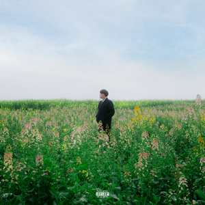 手机看片av免费永久不卡
