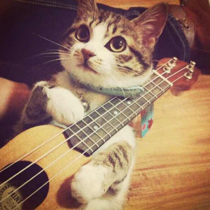 手机看片av免费永久不卡
