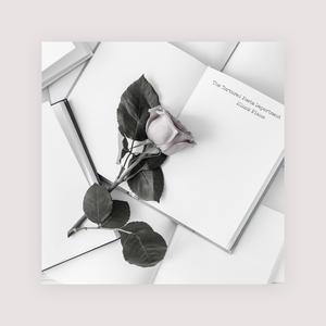 手机看片av免费永久不卡
