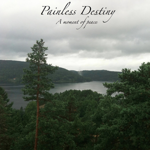 手机看片av免费永久不卡
